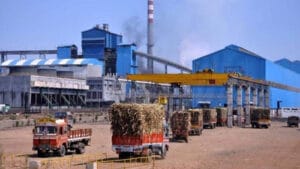 Bihar Govt to reopen closed sugar mills in Darbhanga and  Madhubani