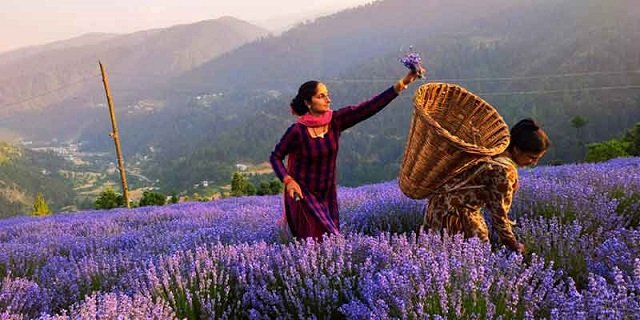 India Plans Comprehensive Income Distribution Survey After 75 Years