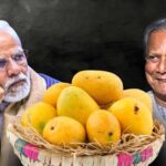 Yunus-Modi (mango diplomacy)