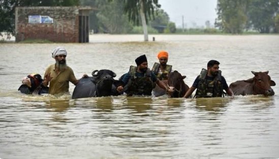 Punjab flood
