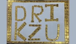 DRI busts cross-border gold smuggling racket in West Bengal; 24 kg foreign-origin gold seized