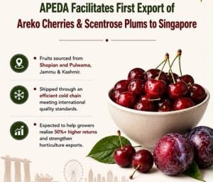 APEDA Facilitates First Export of Premium Areko Cherries and Scentrose Plums from J& K to Singapore